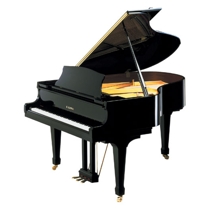 Kawai GX 2