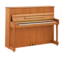 Yamaha P116