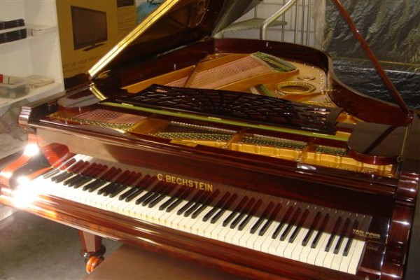 BECHSTEIN B