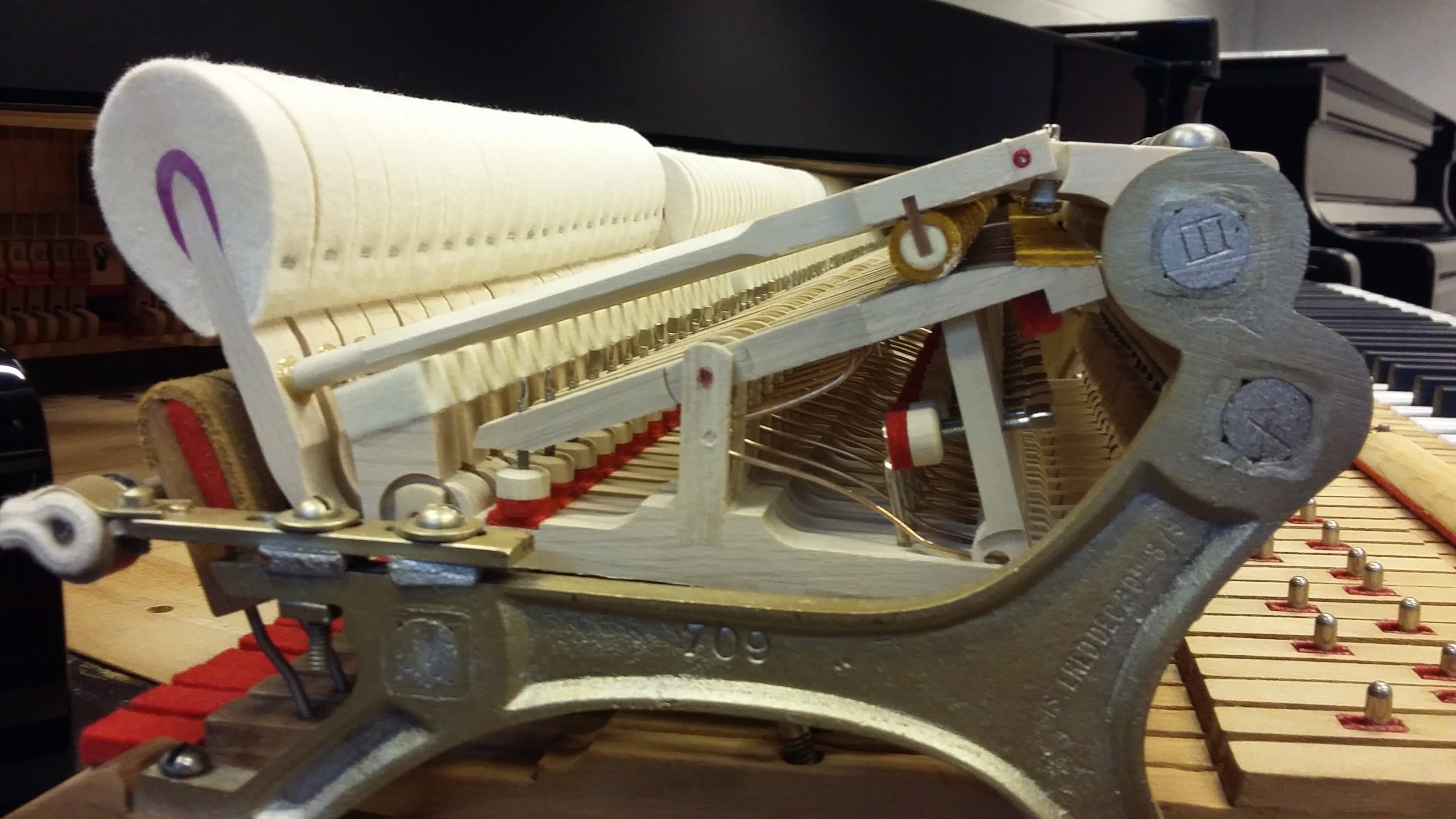 STEINWAY & SONS